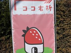 cnjÃC`SmCGւ̓eʐ^2