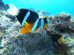 AP̃}T[rXނʁ[ւ̓eʐ^1