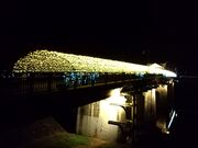 X^WIYOÛ`炬̑啬̓eʐ^1