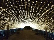 X^WIYOÛ`炬̑啬̓eʐ^2