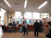 gV[̉ꌧߔe`όē̓eʐ^1