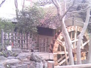 �T���v������̐[�厛���Ԋق̓��e�ʐ^2