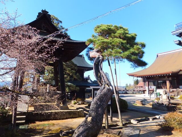 1689�N�����̏��O�͔�˒n���ŌÂ̏��O�Ō��w��d�v�������B_��Y���i�򕌌����R�s�j