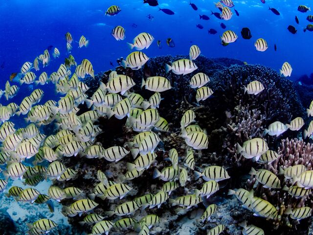 �������������ʐ^�̂ЂƂ�_EARTH-LENS