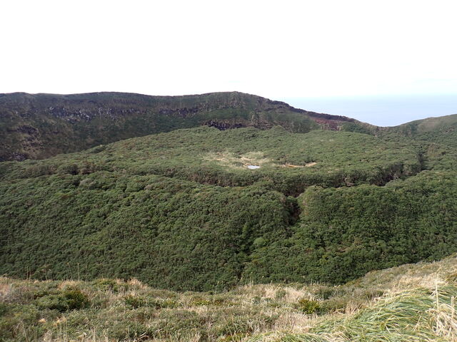 ����x�m�̒n���X��