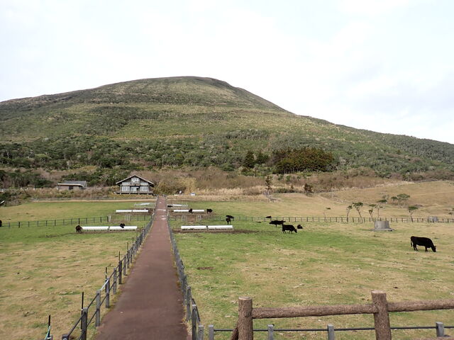 �ӂꂠ���q��W�]��