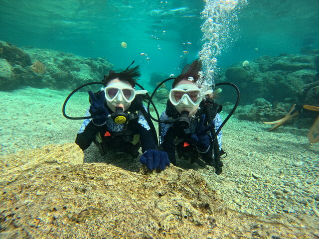 �_�C�r���O_����}�����T�[�r�X��