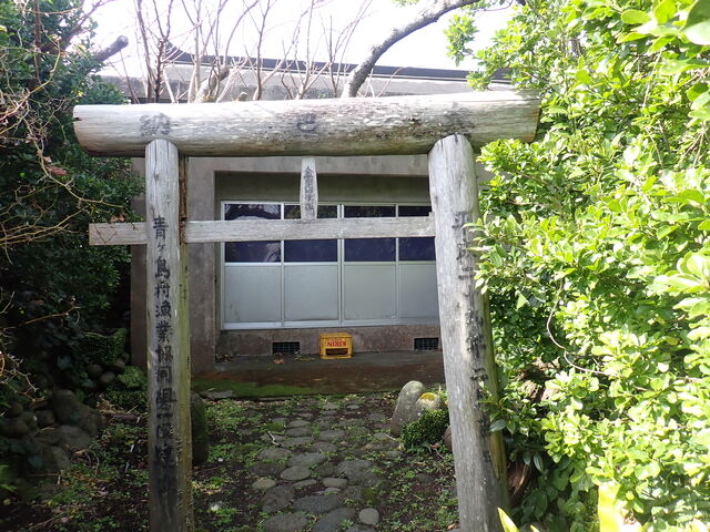 �}�C�a�n�n����̋������_�Ђ̓��e�ʐ^1