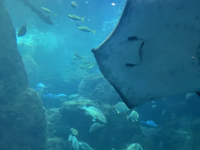 ���͘p�吅��_�V�]�m��������