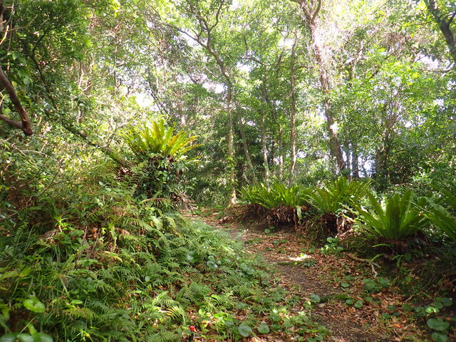 �ێR�V����