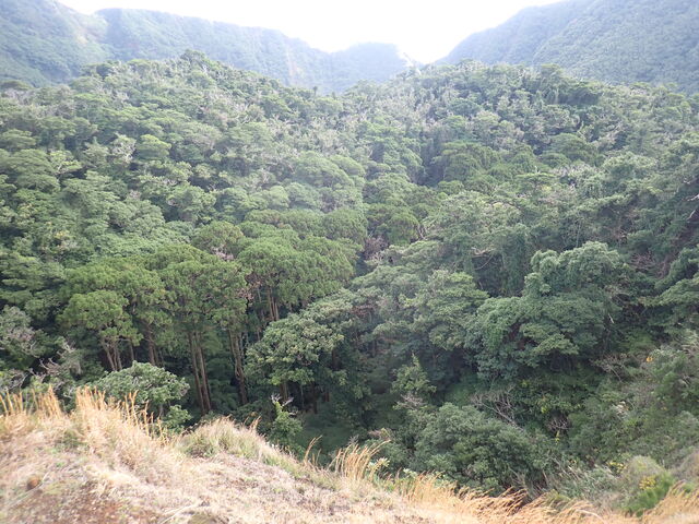 �ێR�V����