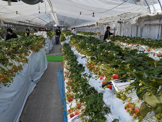 ��i�ɂȂ��Ă��ď����Ȏq�������₷���ł�_�D�{�t�@�[���p�[�N