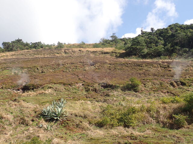 }Cann̒rV򕬋CEQ̓eʐ^1