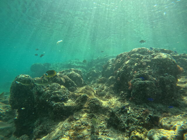 �C�̒��̌i�F_����}�����T�[�r�X��