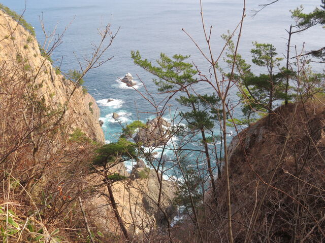 ���Ȃ�̍���������_�k�R�莩�R�V����