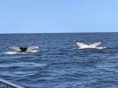 ςɁ[̃}Vbv }[Chւ̓eʐ^1