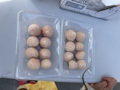 }RgSekiyado Berryւ̓eʐ^1