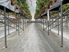 ̂Ԃjoumonfarmi傤ӂ[ށjւ̓eʐ^1