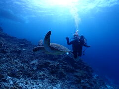 ӂ݂̃u[tHXg{Óւ̓eʐ^1