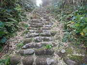 �}�C�a�n�n����̑嗢�_�Ђ̓��e�ʐ^1