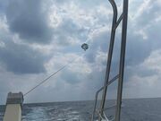 񂳂HB marine okinawa̓eʐ^1