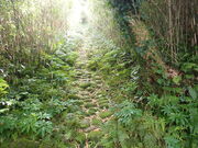 �}�C�a�n�n����̓��䏊�_�Ђ̓��e�ʐ^1