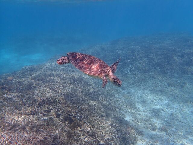 �Y��ȊC�I_�}�������B���b�W����