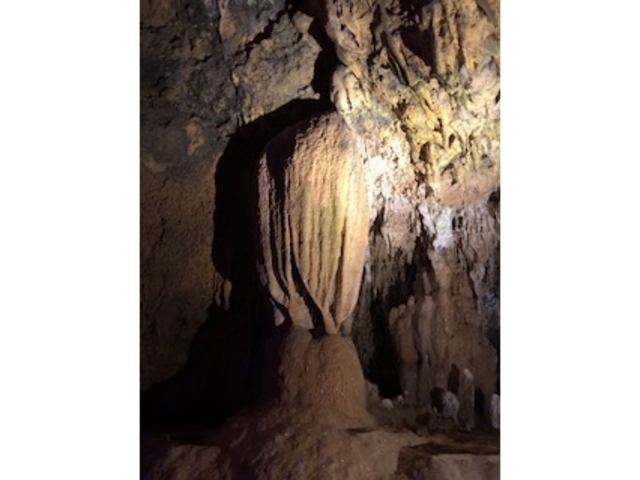 �߂ɂイ��_�Ί_���ߓ���