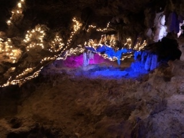 �C���~�l�[�V����_�Ί_���ߓ���