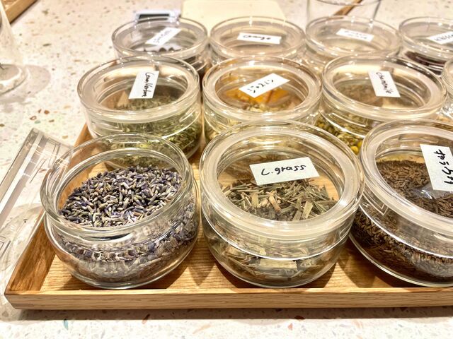 e[uɕԃn[u̐X_aardvark tea Astand