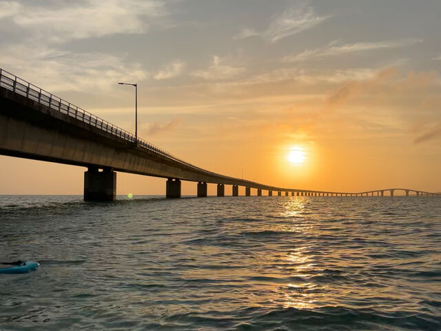 ���̃V�`���G�[�V�����ŃT�b�v�̌����o���ĂƂĂ����b�L�[�ł����B_���񂴂ɂ{�Ó�