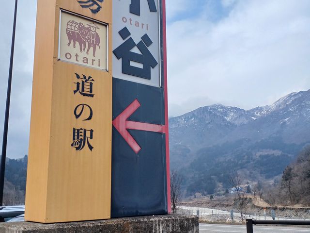 ������₷�� �ƂĂ��傫���Ŕ̓����_���̉w�@������