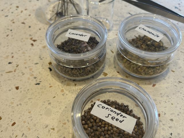 ̂قɂƕł܂I_aardvark tea Astand