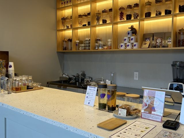 X̗lq_aardvark tea Astand