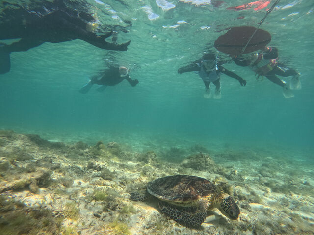 �H�����̃E�~�K��_OCEANZ - �I�[�V�����Y