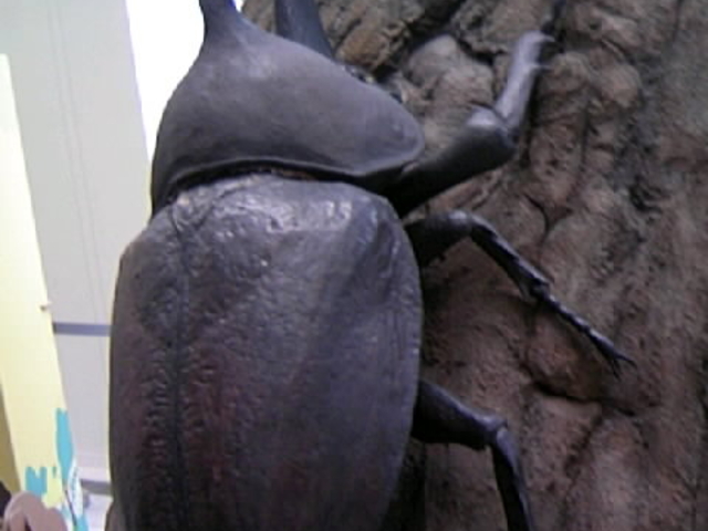 IW̓JugV_`旧݂ȂƉȊw