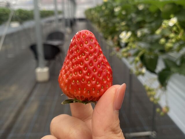 �g�ق���_SHINJO FARM