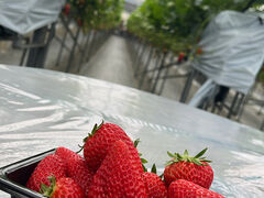 ӂjoumonfarmi傤ӂ[ށjւ̓eʐ^1