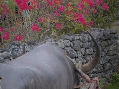 ܂Ȃ݂̔dRόtF[ւ̓eʐ^1