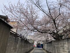 񂳂̓f`f摺ւ̓eʐ^1