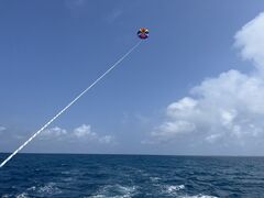 ҂낦̋{ÓpZ[O all good marine 385ւ̓eʐ^1