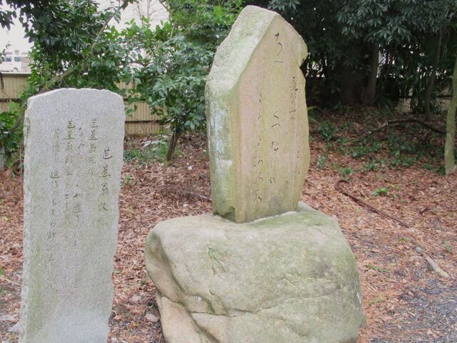 uVŝĂ鍻̏v̏ĂƂB
_mԂ̔i_{j