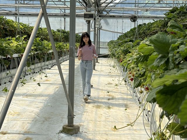 �L�X�ȉ���_���b�`�t�B�[���h�Ó�_��