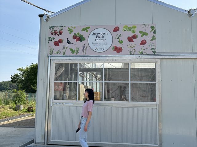 �n�E�X�����킢��_���b�`�t�B�[���h�Ó�_��