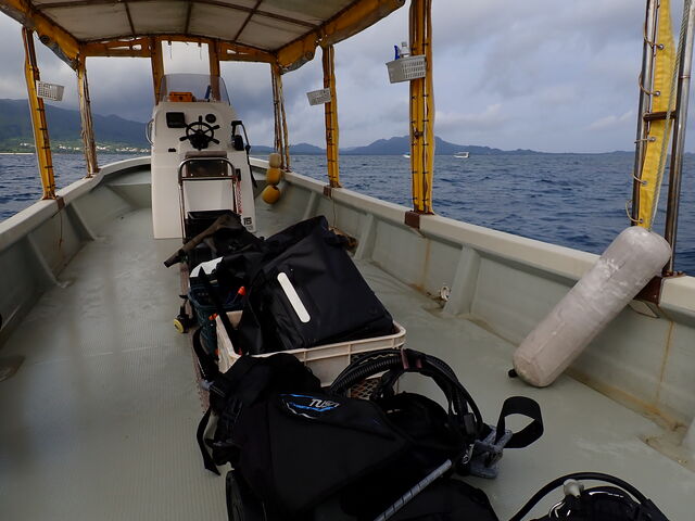 �{�[�g_�����C�g�Ί_���_�C�r���O�V���b�v