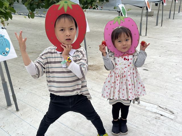 �������I�y���I�喞���I_���񂫔_��