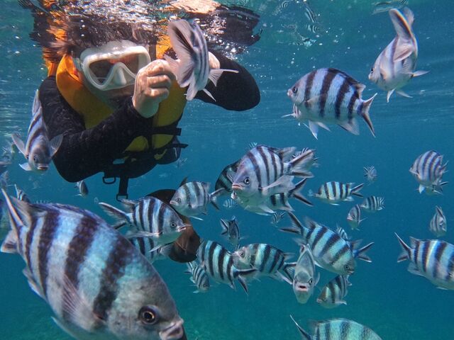 ���ɉa�����܂���_����}�����T�[�r�X��