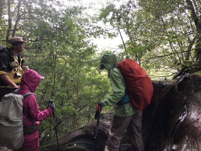 �J�ł��y����_Yamakara���v��