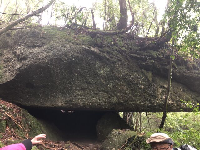 �s�v�c�I�I_Yamakara���v��