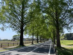 Ȃ񂳂̃^ZRCA؂ւ̓eʐ^1